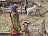 Сибирская отшельница обратилась к прессе с просьбой найти помощника по хозяйству