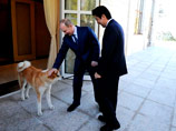 Владимир Путин приветствовал премьер-министра Японии Синдзо Абэ в компании собаки японской породы акита-ину. Ее в июле 2012 года ему подарил именно Абэ по поручению властей префектуры Акита