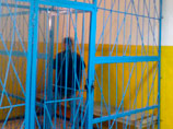 В Петербурге арестован гражданин Таджикистана, избивавший годовалую дочь
