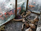 Киев пустеет: на фоне эвакуации правительственных зданий горожане тоже решили уехать из центра города Киев пустеет: на фоне эвакуации правительственных зданий горожане тоже решили уехать из центра города