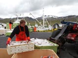 Исландия отказывается от вступления в ЕС и референдума
