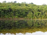 В джунглях Амазонии найдена 9-летняя испанка, похищенная латиноамериканцем полгода назад с целью женитьбы