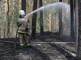 Режим ЧС регионального характера объявлен в лесах Приморья в связи с пожароопасной обстановкой