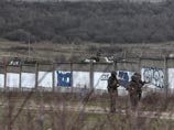 Украина не намерена выводить свои войска с территории Крыма, где их собираются расформировать Украина не намерена выводить свои войска с территории Крыма, где их собираются расформировать