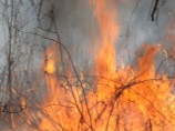 В Амурской области умер второй пострадавший при тушении лесного пожара