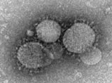 В Саудовской Аравии от опасного коронавируса погибли более сотни человек. Болезнь добралась до Египта