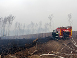 Прокуратура назвала причину  пожара и взрывов на складах в Забайкалье, унесших жизни 10 человек 