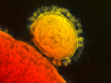 В Саудовской Аравии за два дня от смертельно опасного коронавируса погибли еще 10 человек 
