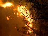 Пожар в поселке Дальний в Иркутской области, где объявлен режим ЧС, ликвидирован Пожар в поселке Дальний в Иркутской области, где объявлен режим ЧС, ликвидирован