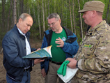 Путин выпустил на волю из заповедника осиротевших амурских тигрят, подготовленных к жизни в дикой природе Путин выпустил на волю из заповедника осиротевших амурских тигрят, подготовленных к жизни в дикой природе