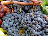 Премьер Дмитрий Медведев на совещании по развитию виноградарства и виноделия в России признал вино сельскохозяйственным продуктом и разрешил его рекламировать