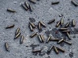 Пророссийские активисты обвиняют силовиков в расстрелах мирных жителей. По их информации, на днях четыре человека были убиты у города Рубежное в Луганской области, троих мирных жителей в селе Староварваровка