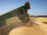Агропромышленные предприятия Крыма подали уже 229 заявок на общую сумму 955 миллионов рублей на приобретение различной сельхозтехники и машин в Росагролизинге