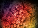 Власти Алжира сообщили о первом смертельном случае заболевания коронавирусом ближневосточного респираторного синдрома (MERS-CoV)