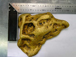 Золотой самородок "Ухо дьявола" весом 6,66 кг найден в Иркутской области