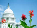 В Конгрессе США предложили назвать площадь перед посольством КНР в Вашингтоне именем китайского диссидента