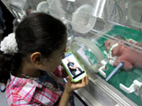 В медицинском центре "Шифа", расположенном на территории сектора Газа, появились на свет мальчики-близнецы, зачатые вдали от папы. Мать забеременела спермы, попавшей в сектор Газа незаконным способом с территории Израиля