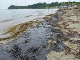 В Приморье ликвидируют таинственный разлив нефти: неизвестно, кто виноват