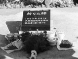 В ночь на 1 сентября 1983 года Корнуков руководил действиями боевого расчета по пресечению нарушения госграницы южнокорейским самолетом и отдал приказ о его уничтожении