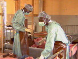 Вспышка смертельно опасного заболевания произошла в Гвинее, Сьерра-Леоне и Либерии, одними из самых беднейших государств мира
