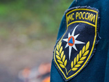 Во Владимирской области разбились двое парашютистов
