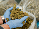 Штат Нью-Йорк легализовал потребление марихуаны в медицинских целях