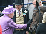 Лошадь британской королевы поймали на допинге, Елизавете II грозит штраф 