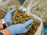 В автобусе юных парагвайских футболистов нашли 400 килограмм марихуаны В автобусе юных парагвайских футболистов нашли 400 килограмм марихуаны