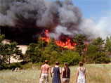 Пожар на Куршской косе начался днем 23 июля около поселка Морское
