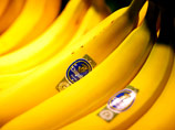 Федеральный апелляционный суд США отклонил многомиллионные иски, поданные жителями Колумбии, против одного из крупнейших мировых производителей бананов Chiquita Brands International