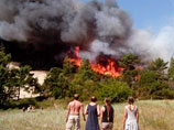 Уголовное дело завели по факту лесного пожара в заповеднике на Куршской косе