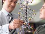 Суть претензий сводится к определению генной модификации, которое использовано в правительствнном документе: в текущем виде под него не попадает митохондриальное донорство, так как в данном случае не происходит вмешательства в ядерную ДНК Суть претензий сводится к определению генной модификации, которое использовано в правительствнном документе: в текущем виде под него не попадает митохондриальное донорство, так как в данном случае не происходит вмешательства в ядерную ДНК