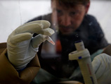 Сейчас в США, возможно, уже находятся носители вируса Эбола: семья доктора Кента Брэнтли, заболевшего на прошлой неделе, недавно вернулась из Африки, где проживала вместе с ним