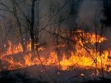 Торфяной пожар в Тверской области, из-за которого в регионе введен режим ЧС, может стать причиной смога в Подмосковье