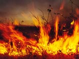МЧС усиливает группировку по тушению пожаров в Тверской области, одном из трех самых неблагоприятных регионов, пожары в котором угрожают смогом Подмосковью