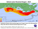 На дне Мексиканского залива из-за деятельности человека образовалась огромная "мертвая зона", равная по размеру американскому штату Коннектикут, заявили ученые, обследовавшие водную акваторию