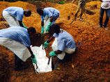ВОЗ созвал чрезвычайное совещание, на котором лихорадку Эбола в Африке могут признать международной опасностью