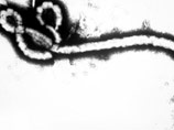 В Либерии введено чрезвычайное положение и объявлен национальный пост из-за лихорадки Эбола В Либерии введено чрезвычайное положение и объявлен национальный пост из-за лихорадки Эбола
