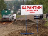 В татарском селе объявлен карантин по сибирской язве, есть заболевший В татарском селе объявлен карантин по сибирской язве, есть заболевший