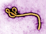 Первый больной с подозрением на лихорадку Эбола обнаружен в Бенине