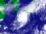 Япония готовится к тайфуну "Халонг": отменены 470 рейсов, 300 тысяч должны эвакуироваться