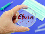 От Эбола умерли уже 1013 человек. Белый дом отправляет в Либерию экспериментальную вакцину