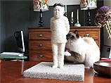 Портреты Путина и Ким Чен Ына стали частью "кошачьей" акции против интернет-цензуры (ВИДЕО) Портреты Путина и Ким Чен Ына стали частью "кошачьей" акции против интернет-цензуры (ВИДЕО)