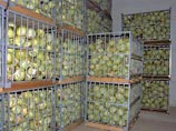Производители скоропортящихся продуктов в ЕС получат экстренную помощь от властей Производители скоропортящихся продуктов в ЕС получат экстренную помощь от властей