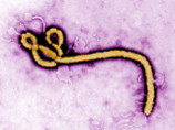 В Либерии введен комендантский час в связи с лихорадкой Эбола