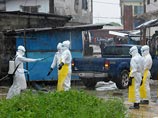 Больше других от Эболы пострадала Либерия, в ней жертвами лихорадки стали более 620 человек. В Сьерра-Леоне и Гвинее погибли по 400 человек, еще несколько жертв приходится на Нигерию и Конго