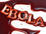 ВОЗ предупредила, что число зараженных Эболой может превысить 20 тысяч человек, а на борьбу с лихорадкой нужно полмиллиарда долларов