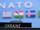 Тимошенко хочет провести референдум по вступлению Украины в НАТО вместе с выборами