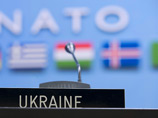Тимошенко хочет провести референдум по вступлению Украины в НАТО вместе с выборами Тимошенко хочет провести референдум по вступлению Украины в НАТО вместе с выборами