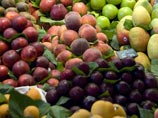 Испанские фрукты, выращенные для России, пойдут на благотворительность
